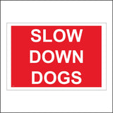 TR230 Slow Down Dogs Sign