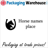 CM989 Horse  Place Sign with 2 Horse Heads Horseshoe