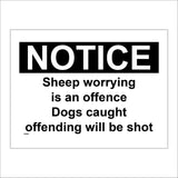 TR589 Notice Sheep Worrying Is An Offence Dogs Caught Shot