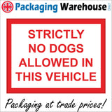 VE348 Strictly No Dogs Allowed In Vehicle Pets Canine