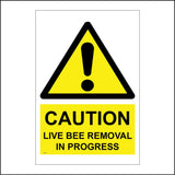 WT227 Caution Live Bee Removal In Progress