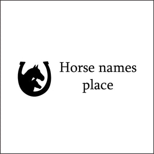 CM989 Horse  Place Sign with 2 Horse Heads Horseshoe