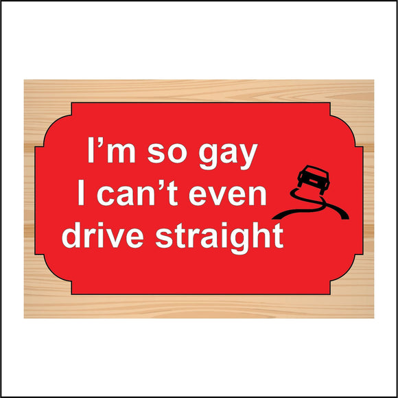 HU326 I'm So Gay Can't Drive Straight Fun Gift Humour Present Birthday Plaque