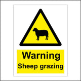 WS613 Warning Sheep Grazing Sign with Triangle Sheep