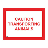 TR503 Caution  Transporting Animals Transit Livestock Cattle Farm Market