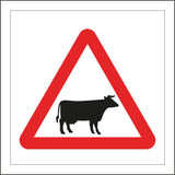 WT242 Beware Of Cattle Farming Fields Countryside Outdoors