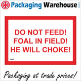 PR426 Do Not Feed Foal In Field He Will Choke