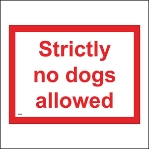 GE996 Strictly No Dogs Allowed