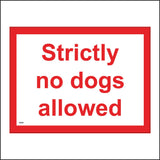 GE996 Strictly No Dogs Allowed