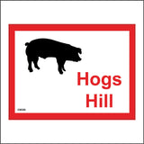 CM350 Hogs Hill Pigs Sows Sty Space Mud